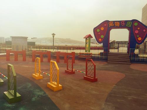寵物狗樂園